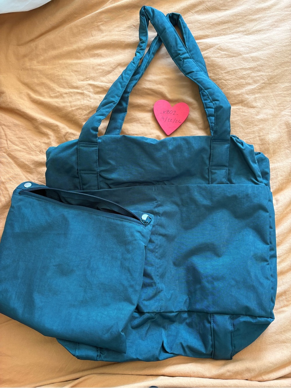 Used Deep Sea Baggu Cloud Carry On